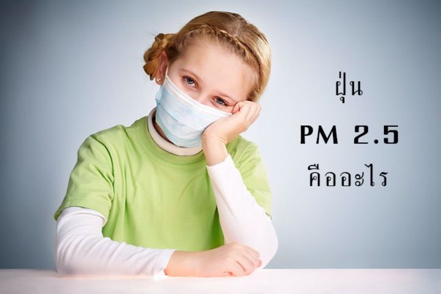 รู้จักฝุ่นพิษ PM 2.5 ที่มากับมลภาวะ